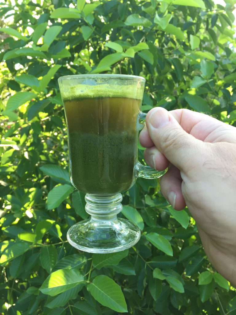 kratom powder in a cup of tea