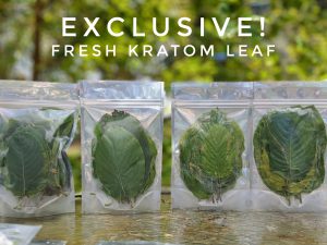 Shipping American Kratom to India - Review