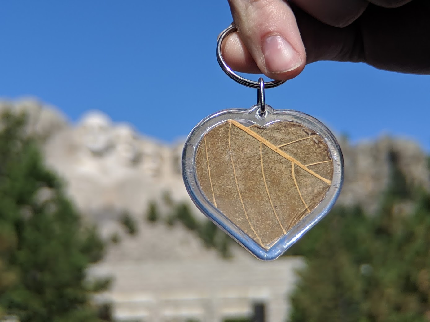 kratom heart keychain in front of Mount Rushmore