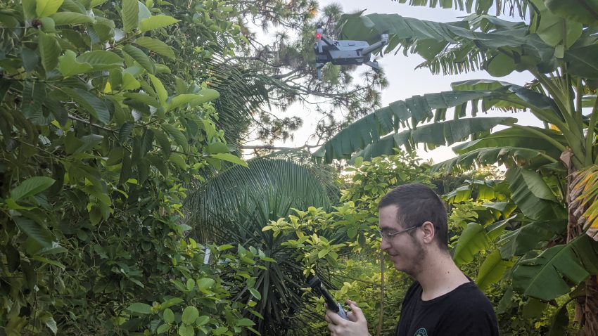 Drones and Matt documenting kratom trees