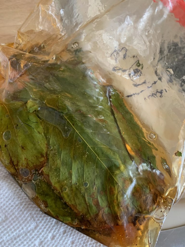 How to store Fresh Kratom Leaf in Honey.