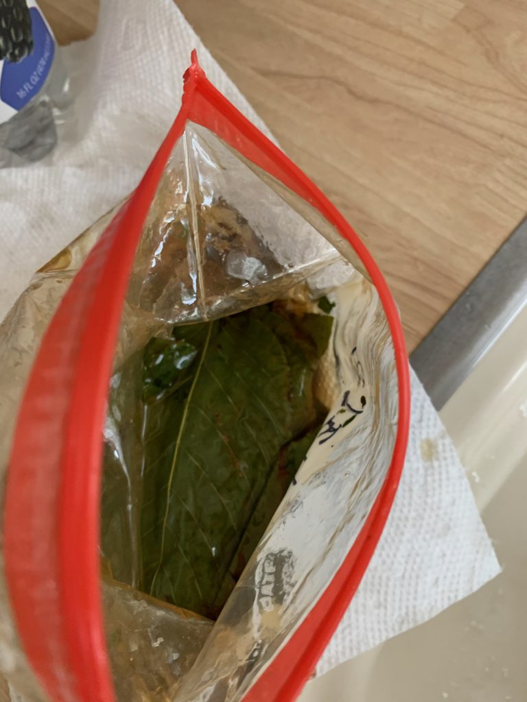 How to store Fresh Kratom Leaf in Honey.