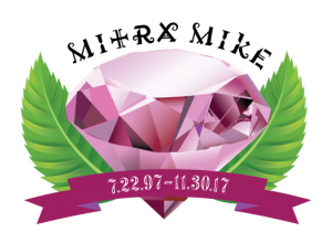 mitra mikes extracts