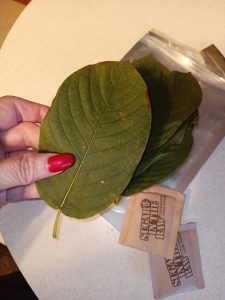 Raw Kratom Leaf with Raw Honey Review