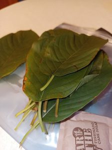 Raw Kratom Leaf with Raw Honey Review