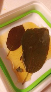 Raw Kratom Leaf with Raw Honey Review