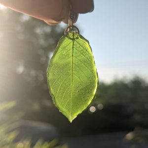 Kratom Leaf Earring in the Sun
